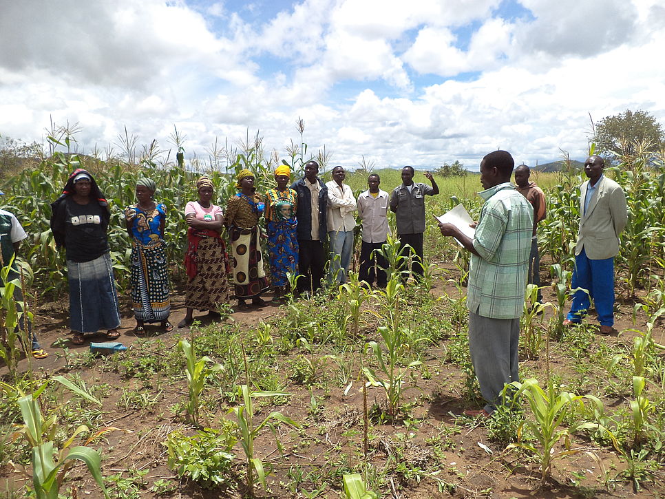 Eine Gruppe steht vor einem Mais-Feld bei einem Landwirtschaftsworkshop.