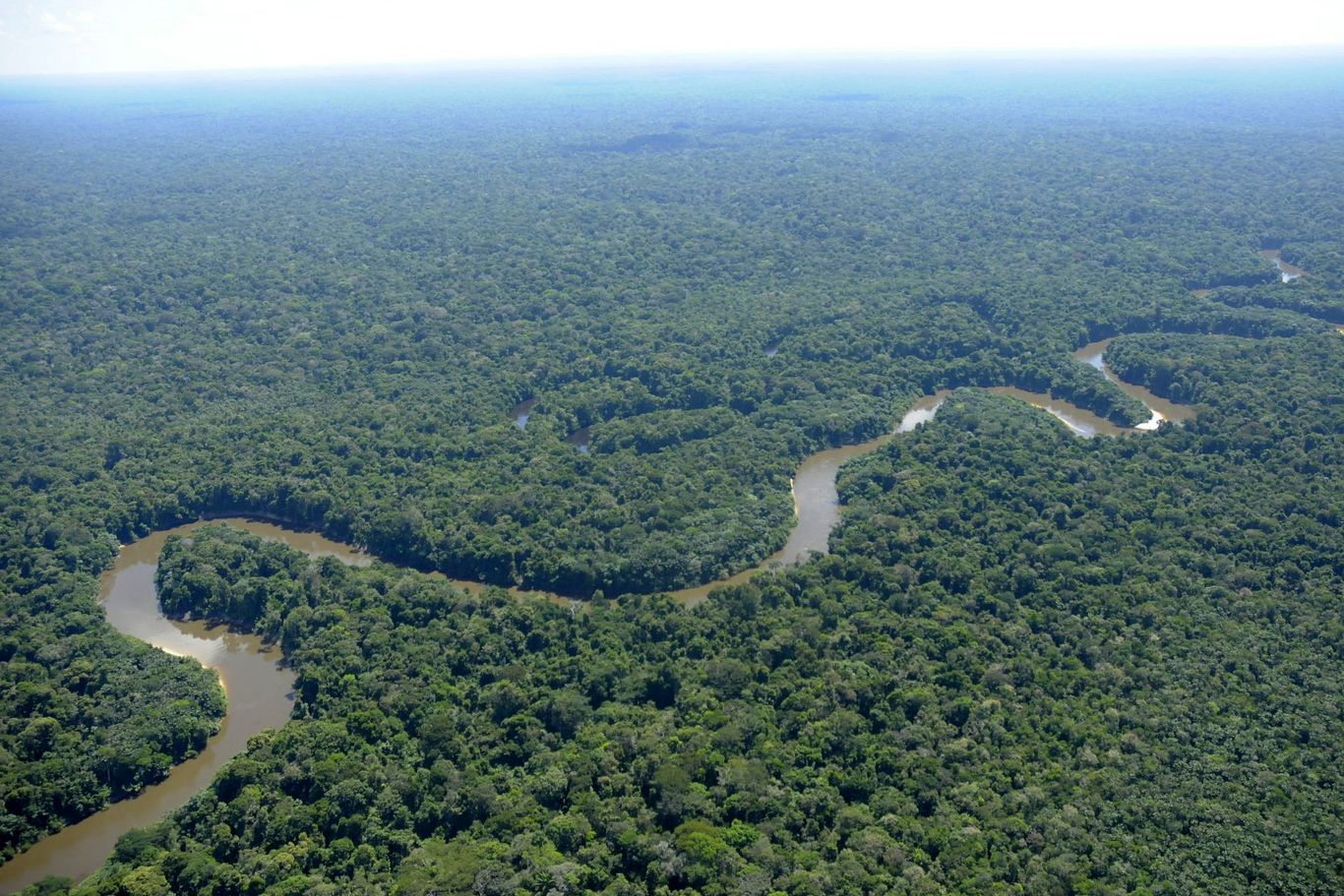 Die indigenen Völker leisten einen wichtigen Beitrag, um den Regenwald als „grüne Lunge“ unseres Weltklimas zu schützen. Man sieht den Amazonas von oben wie er sich durch den grünen Regenwald schlängelt