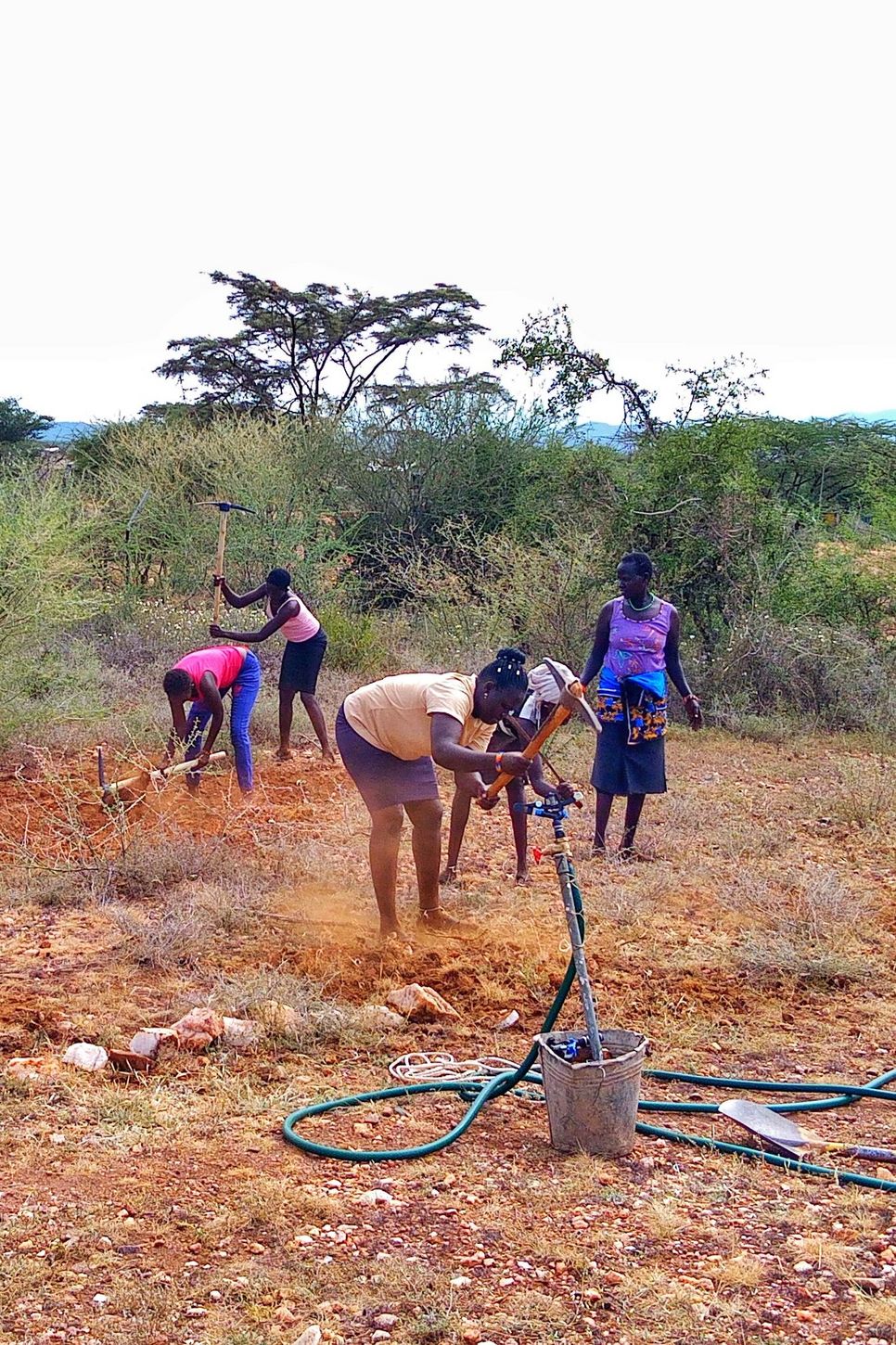 Kenianische Frauen arbeiten auf dem Feld mit Hacken und Spaten. 