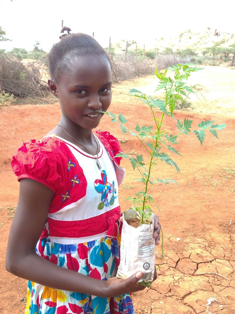 Ein kenianisches Mädchen hält ihre Pflanze in die Kamera.