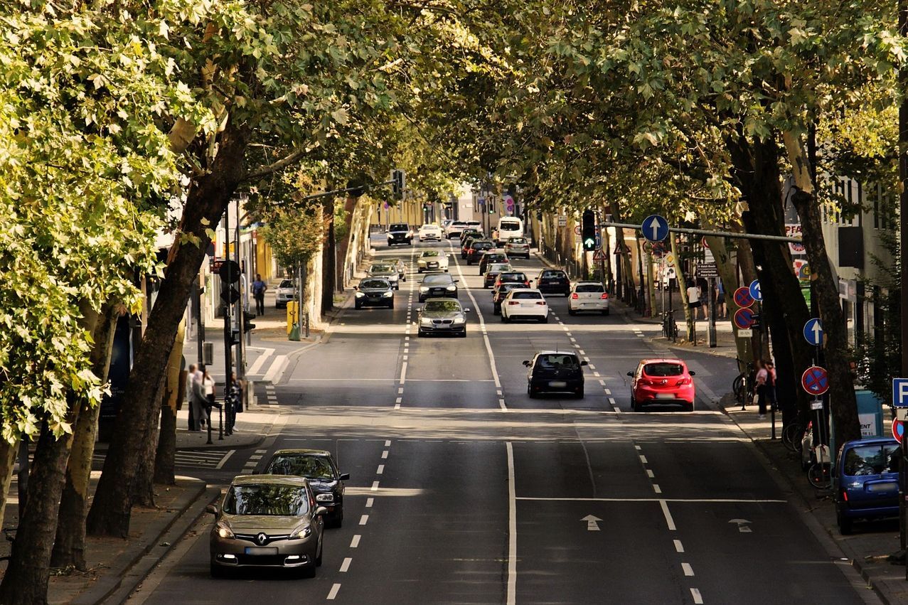 Autos fahren auf einer mehrspurigen Straße. Am Rand stehen hohe, grüne Bäume.