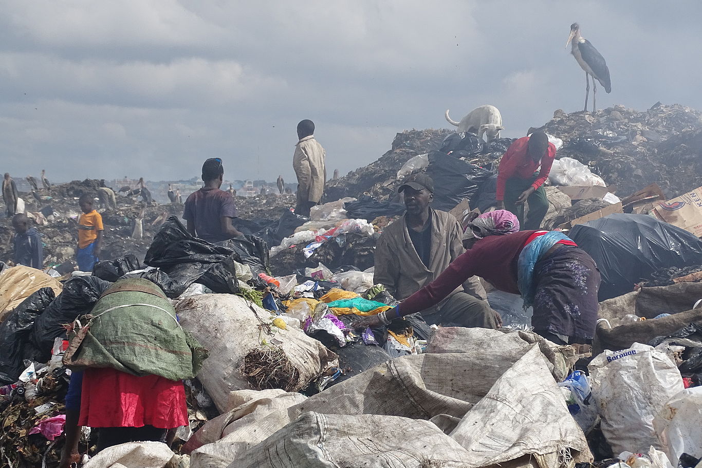 Menschen sammeln Müll auf der größten Mülldeponie Nairobis