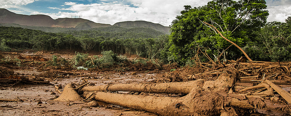 Giftschlammlawine von Brumadinho, Foto: Sturk Landschaft durch Schlamm zerstört mit unzähligen umgerissenen Bäumen
