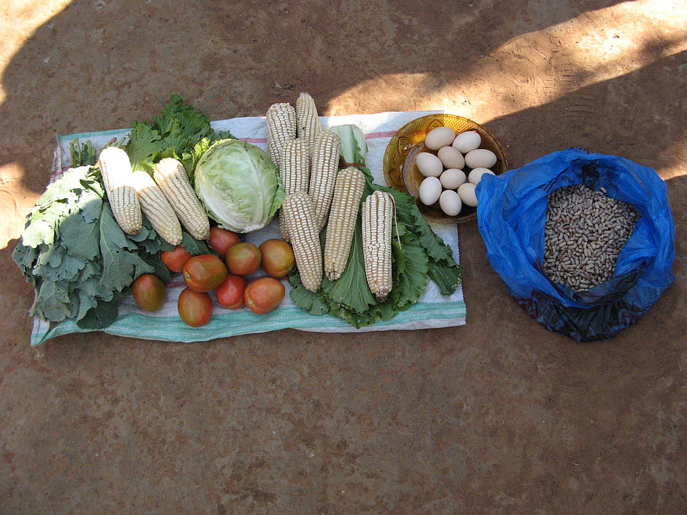 Verschiedene Gemüsearten liegen auf einem Tuch am Boden