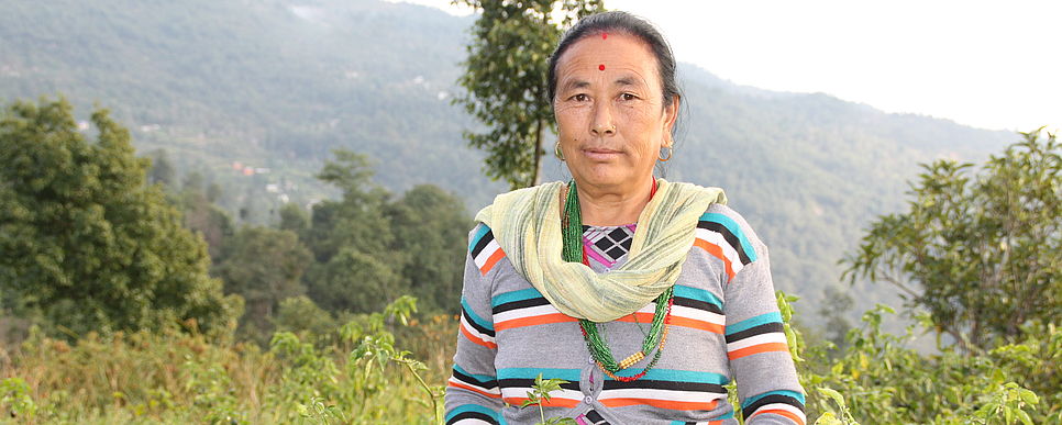 Eine Frau aus Nepal steht zwischen Chilisträuchern.