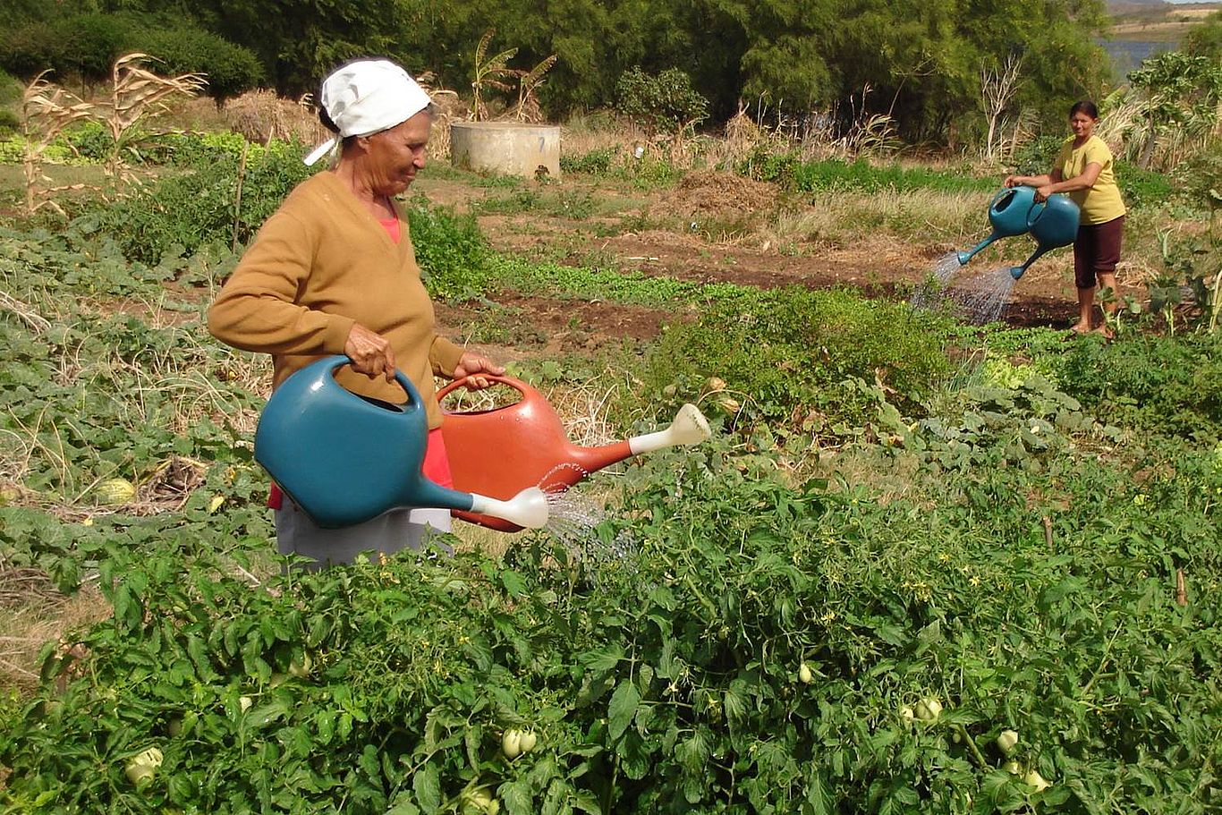 Richtiges Bewässern und Landwirtschaften im Einklang mit der Natur Zwei Frauen gießen ein Gemüsebeet