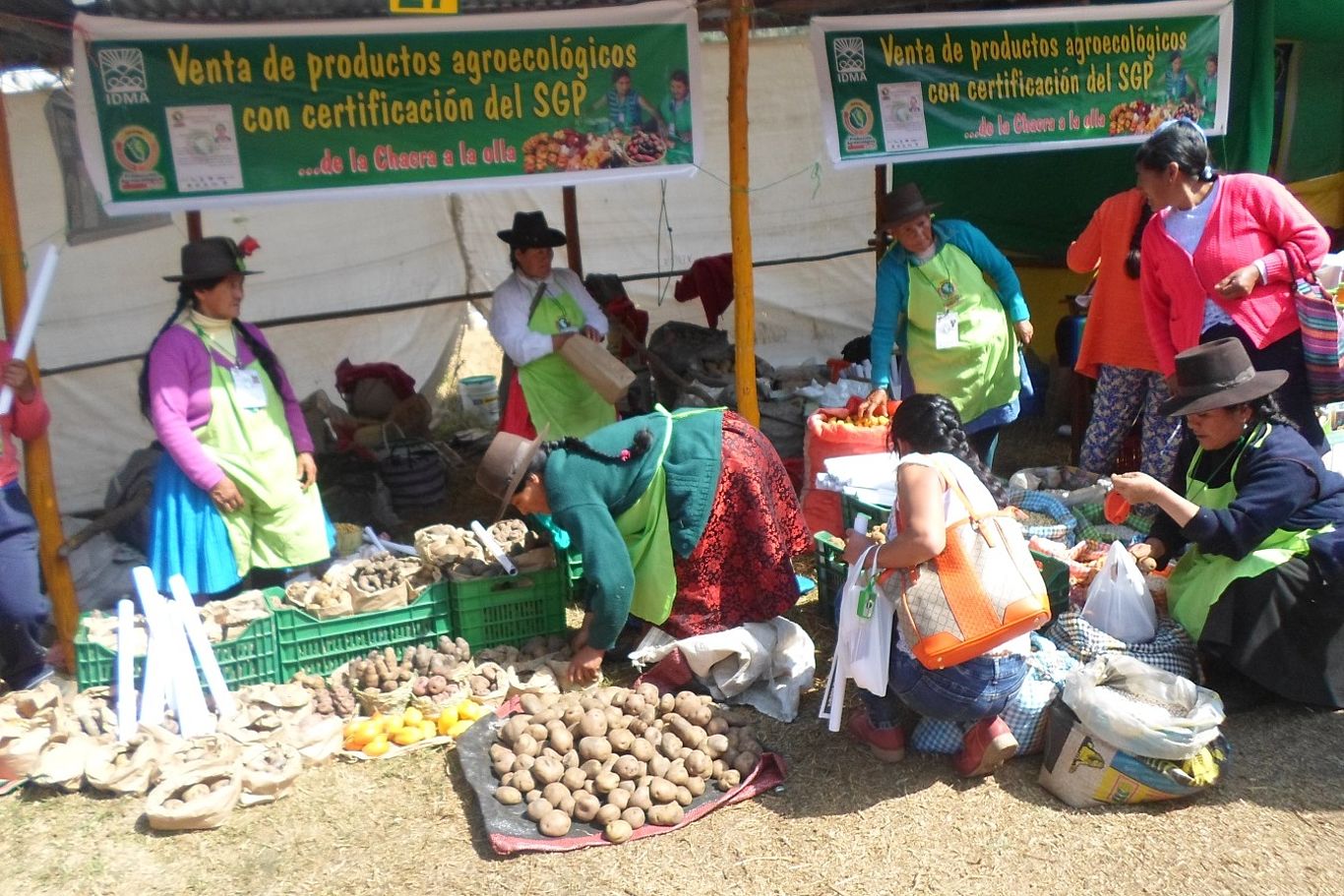 Frauen in einem IDMA-unterstützten Partizipativen Garantiesystem verkaufen auf einem Markt Gemüse