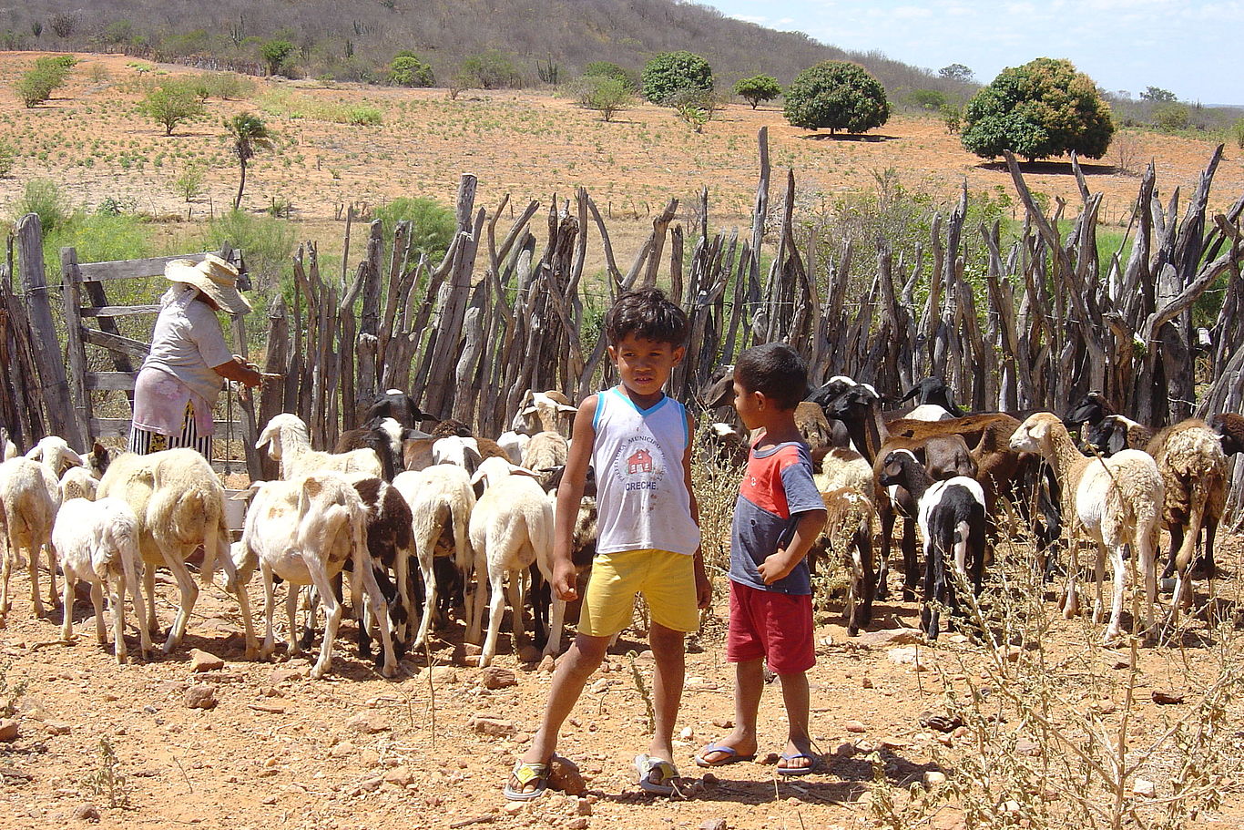 Die Kleinbauern in Afrika, Asien und Südamerika leiden am meisten unter dem Klimawandel. Foto: Gnadlinger zwei Kinder stehen vor einer Ziegenherde