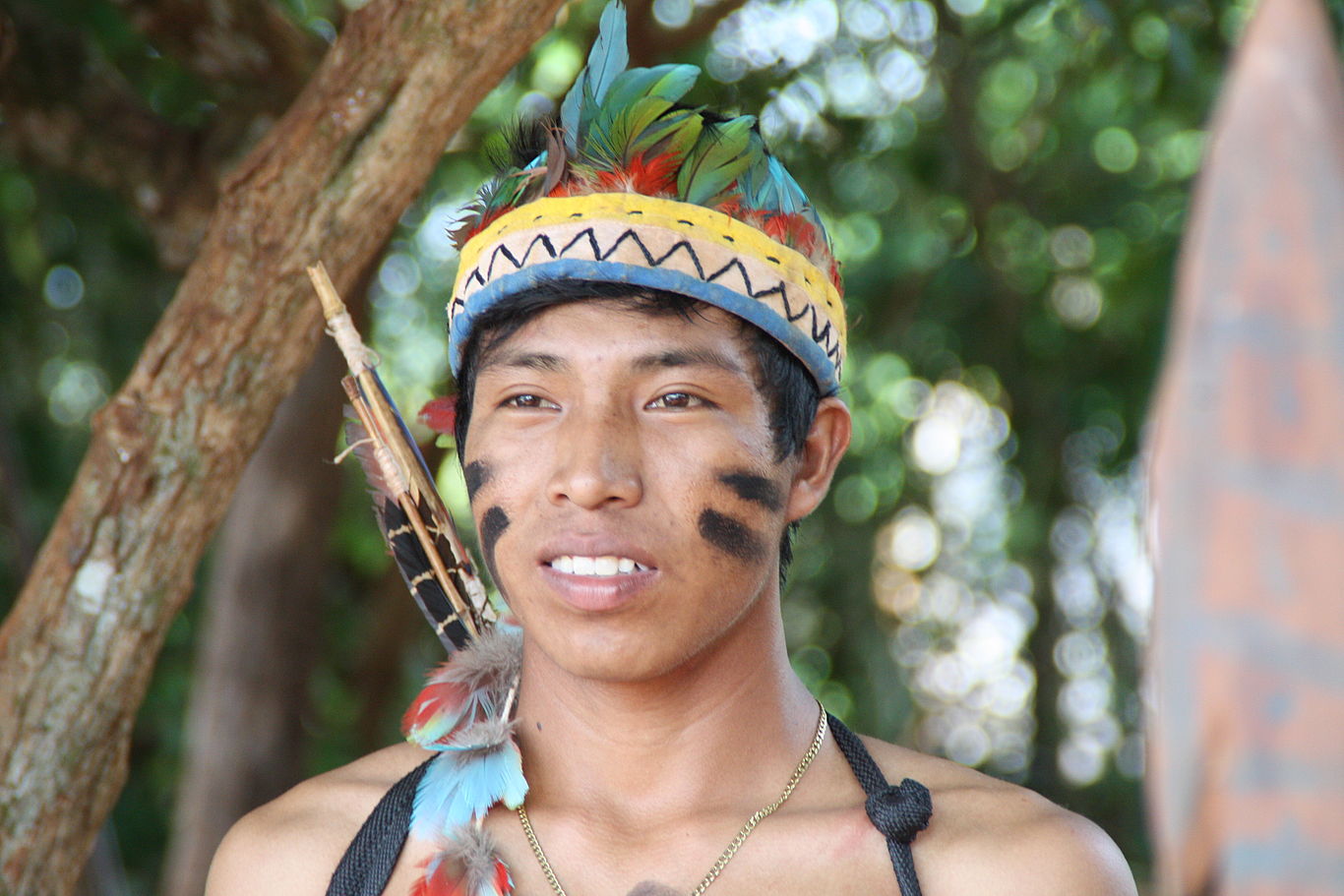 Nur mit Wahrung der verbrieften Landrechte können die Indios eigenständig überleben. Foto zeigt einen jungen Mann mit Federschmuck, Bemalung im Gesicht und einem Bogen.