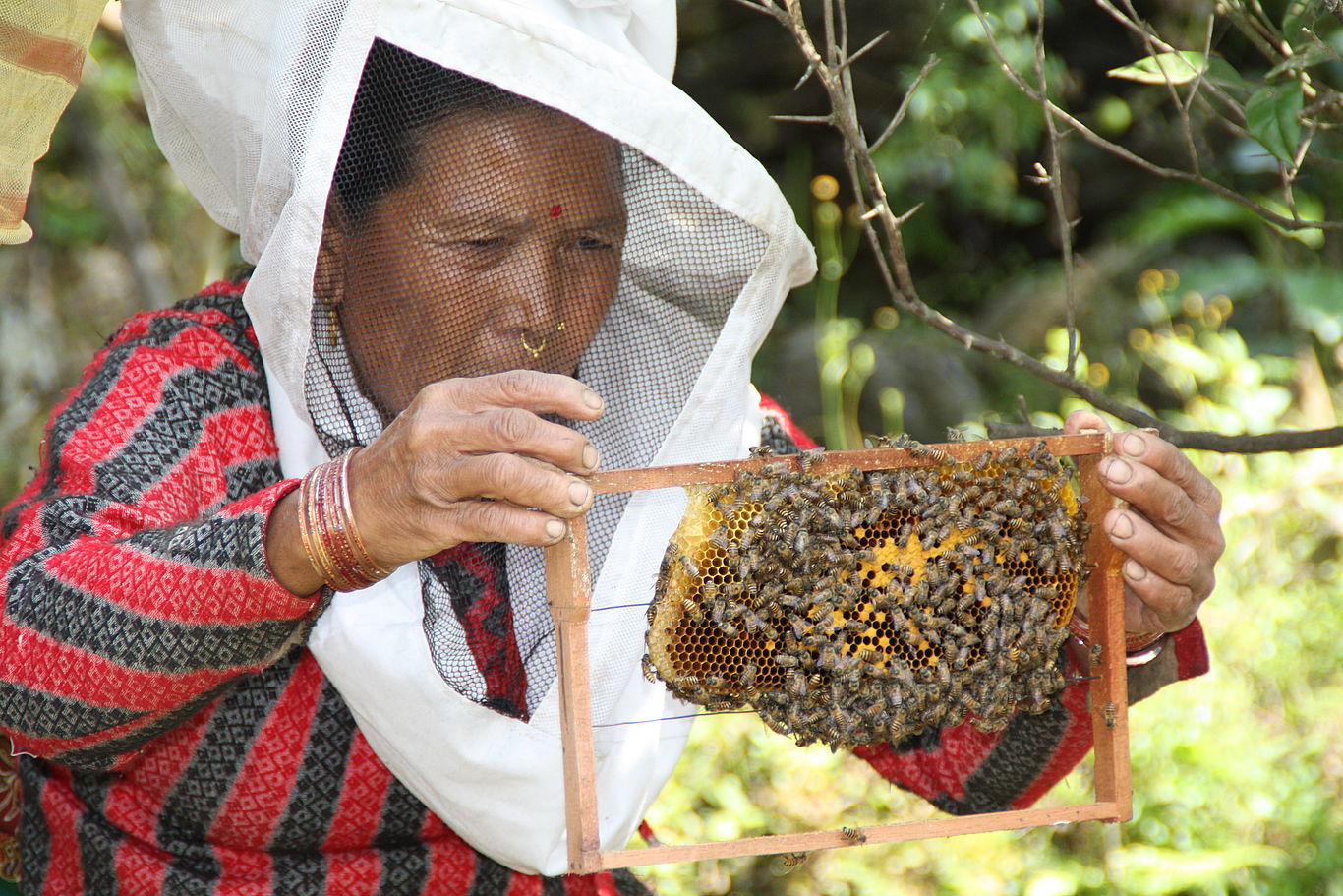 Eine Imkerin mit einer Bienenkolonie