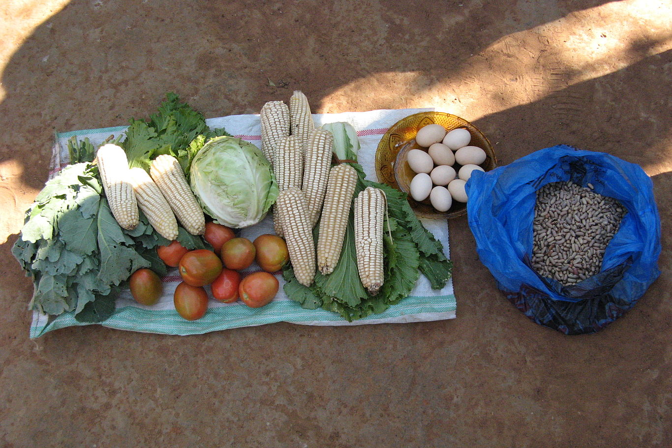 Das Wissen um vitamin- und nährstoffreiche Nahrung stärkt die Gesundheit der Bevölkerung. Foto von landwirtschaftlichen Erzeugnissen: Eier, Tomaten, Mais, Salat, Kraut, etc